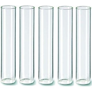 Reageerbuisjes met platte bodem, van glas, 5 stuks, verschillende maten (30 mm x 150 mm)