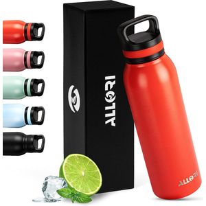 RVS drinkfles - 630 ml, BPA-vrij, lekvrij, geschikt voor koolzuur - thermosfles voor sport, school, universiteit, fitness, outdoor, excursie, krasbestendig, vaatwasmachinebestendig