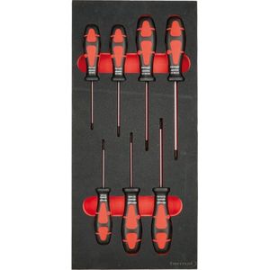 Gereedschapsmodule 1/3 schroevendraaiers Torx FORMAT