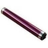 Toshiba - Drum Trommel OD-FC34M ODFC34M - Magenta - 30k