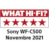 Sony WF-C500 Draadloze Oordopjes Zwart