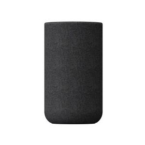 Sony SA-RS5 - Luidsprekers - Zwart - 180W