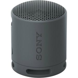 Sony SRS-XB100 Mono draadloze luidspreker Zwart