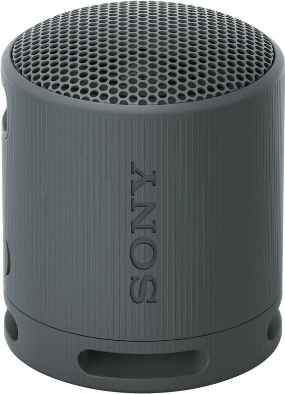 Sony SRS-XB100 Bluetooth-luidspreker, licht, compact, waterdicht en stofdicht IP67, tot 16 uur accu, aanpasbare band, zwart