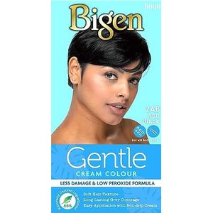 Bigen Gentle Cream Colour | Geen ammoniak en Minder schade | 88% natuurlijk ingrediënten - 2AB Ash Black