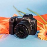 Canon - RF 35mm f/1.8 Macro IS STM - Camera Lens - Zwart - Standaard