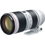 Canon EF 70-200mm f/2.8L III