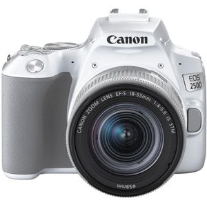 Canon 250D digitale reflex + EF-S 18-55mm f/4-5, 6 is STM - wit