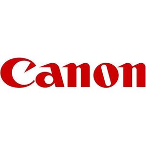 Canon Inktpatroon PFI-300MBK