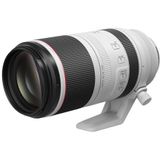 Canon RF 100-500mm F4.5-7.1L IS USM-lens