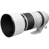 Canon RF 100-500mm F4.5-7.1L IS USM-lens
