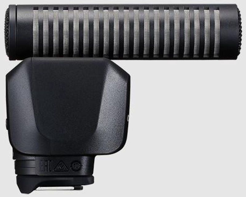 Canon - DM-E1D - Directional Stereo Microphone - Zwart - Compatibel met EOS R