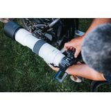 Canon 200-800mm RF f6.3-9 IS USM + Gratis UV en CP Filter (Promotie)