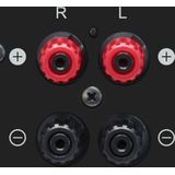 Pioneer A-10AE Silver Geïntegreerde Versterker 2.0 met Analoge Ingangen