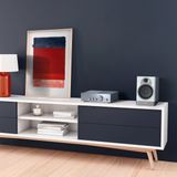 Pioneer A-10AE Silver Geïntegreerde Versterker 2.0 met Analoge Ingangen