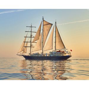Diamond Painting Long voyage 50x40 Wizardi