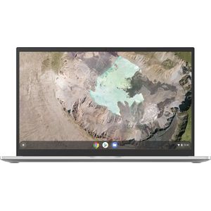 Asus Chromebook C425TA-H50334 - Chromebook Zilver