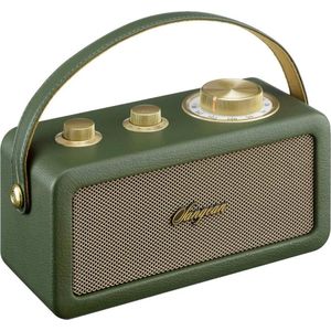 Sangean RA-101 Draagbare radio FM Bluetooth, AUX Oplaadbaar Groen, Goud