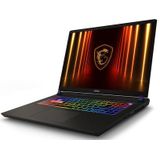 MSI Vector 17 HX AI A2XWHG-050NL - Laptop - 17 inch - Grijs - Intel Core Ultra 9