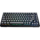 Ducky Tinker 75% RGB Brown HS US