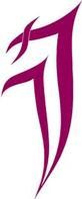 Jou Jye - JJ-N-16TM - Behuizing - Aluminium - Compatibel met 2.5" / 3.5"