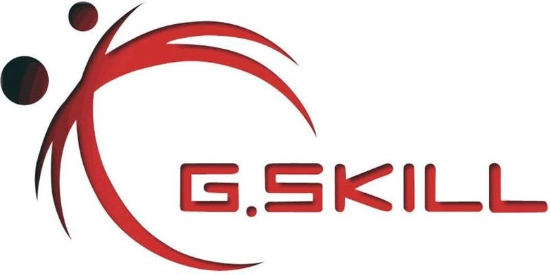 G.skill - Ripjaws F5 - RAM Geheugen - 32 GB - DDR5 - 4800 MHz