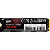 Silicon Power UD90 - 250 GB - PCI 4.0 NVME 3D SSD