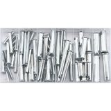 Assortiment Borgpennen 60 Stuks