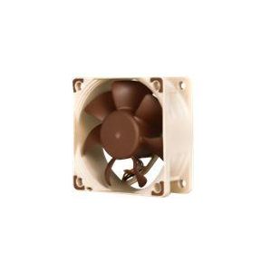 Noctua NF-A6x25 PWM - Geh�usel�fter - 60mm - Wei� - 19 dBA