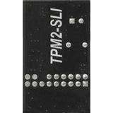 Moederbord - Ondersteuning Windows 8.1 en 10 - LPC-interface IC: INFINEON SLB9665