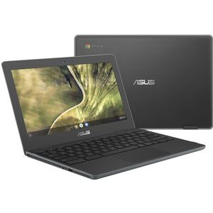 Asustek - Pro CHROMEBOOK-R - Laptop - 11,6 inch - Celeron N4020 - 32 GB - 4 GB
