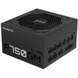 Gigabyte - P750gm - Modulaire Voeding - 750W - 80 Plus Gold