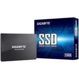 Hard Drive Gigabyte GP-GSTFS31256GTND 256 GB SSD