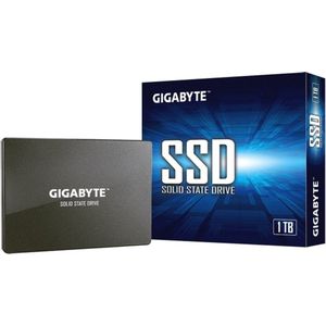 Externe Harde Schijf Gigabyte GP-GSTFS31100TNTD 2,5" SSD 1 TB Zwart