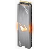 GIGABYTE Aorus RGB 256 GB M.2 PCI Express 3.0 NVMe 3D TLC