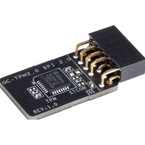 Gigabyte GC-TPM2.0 SPI 2.0 - Beveiligingschip hardware