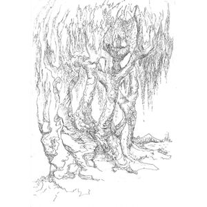 Kunstkaart Bomen 09 - wenskaart - zwart - wit