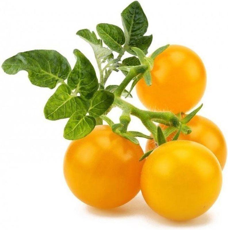 Click & Grow - Smart Garden Refill 3-pack Yellow Tomato