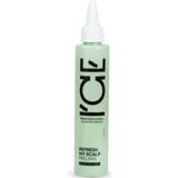 Natura Siberica - ICE Professional Refresh My Scalp - Haarpeeling - 100 ml