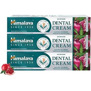 Himalaya Herbals Dental Cream Toothpaste 100g (Classic, 3 PACK)