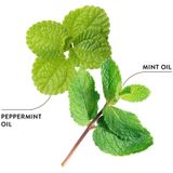 Ecodenta - Anti Plak Tandpasta - Kokos - Natuurlijke Ingrediënten