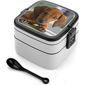 Leuke Bruine Teckel Bento Lunch Box Dubbellaags All-in-One Stapelbare Lunch Container Inclusief Lepel met Handvat