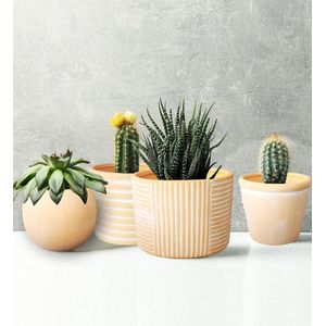 Portofino Terracotta Bloempotten - Set van 4 - Designer Shapes Plantenpotten - Witgekalkte Terracotta Plantenbakken Plantenbak