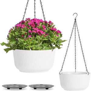 25 cm hangende kunststof bloempot, hangmand voor planten, plantencontainer met afvoergat, plantenpot voor hangplanten, set van 2, hangpot voor buitenplanten