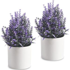 Kunstmatige Mini Ingemaakte Lavendel Kunstmatige Plastic Plant met Pot voor Thuis Bureau Decoratie Vertaling: Kunstmatige Mini Ingepotte Lavendel Kunstmatige Plastic Plant met Pot voor Thuis Kantoor Decoratie