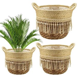 Set van 3 Zeegras Plantenmanden Bloempot Bloemenmand Bloemenplantenbak Gevlochten met Handvatten Zeegras Mand Opbergmand Planten Zeegras Handgeweven Bloempot Boho voor Binnen en Buiten