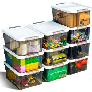 Kleine opbergdozen met deksel, kunststof, stapelbaar, transparant, opbergdoos met handgrepen, grijs, 10 stuks