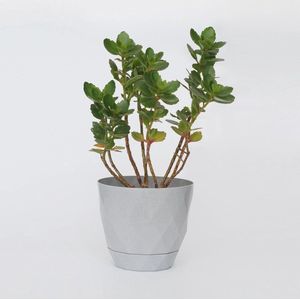 Bloempot, set van 2, 17,5 cm diameter, grijs, kunststof bloempot met schotel, zelfwatergevend, buitenbloempot met bewateringssysteem, plantenpot