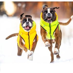 AiryVest Versatile Hondenjas / Hondenjack - Gevoerd - Omkeerbaar - Lime-Yellow - Maat: M45 (GELIEVE ALVORENS BESTELLEN OPMETEN)