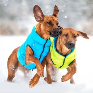 AiryVest Versatile Hondenjas / Hondenjack - Gevoerd - Omkeerbaar - Lime-Blue - Maat: M40 (GELIEVE ALVORENS BESTELLEN OPMETEN)